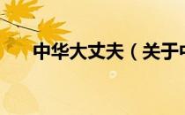中华大丈夫（关于中华大丈夫的介绍）