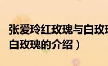 张爱玲红玫瑰与白玫瑰（关于张爱玲红玫瑰与白玫瑰的介绍）