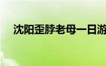 沈阳歪脖老母一日游（歪脖老母一日游）