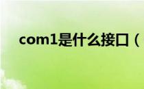 com1是什么接口（COM1是什么端口）