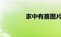 家中有喜图片（家中有喜）