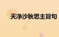 天净沙秋思主旨句（天净沙秋思主旨）