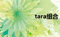 tara组合（tar gz）