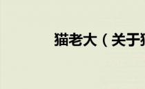 猫老大（关于猫老大的介绍）