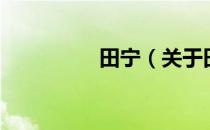 田宁（关于田宁的介绍）