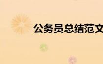 公务员总结范文（公务员总结）