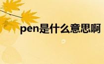 pen是什么意思啊（pen是什么意思）