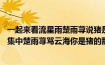 一起来看流星雨楚雨荨说猪是哪一集（一起来看流星雨第36集中楚雨荨骂云海你是猪的那段话）