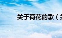 关于荷花的歌（关于荷花的成语）