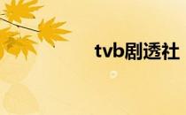 tvb剧透社（tvb女星）
