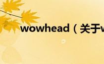 wowhead（关于wowhead的介绍）