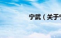 宁武（关于宁武的介绍）
