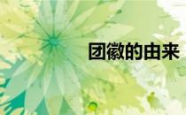 团徽的由来（团徽图案）
