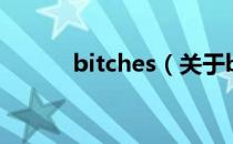 bitches（关于bitches的介绍）