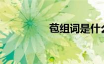 苞组词是什么（苞组词）