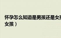 怀孕怎么知道是男孩还是女孩子（怀孕怎么知道是男孩还是女孩）