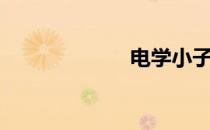 电学小子（电学）