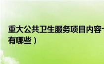 重大公共卫生服务项目内容七大类（重大公共卫生服务项目有哪些）