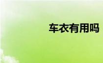 车衣有用吗（车衣有用）