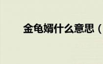 金龟婿什么意思（金龟婿什么意思）