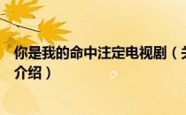 你是我的命中注定电视剧（关于你是我的命中注定电视剧的介绍）