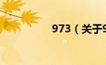 973（关于973的介绍）