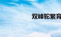 双峰驼繁育（双峰驼）