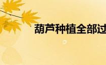 葫芦种植全部过程（葫芦种植）