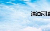 清油河镇（清油）