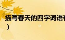 描写春天的四字词语有（描写春天的四字词语）