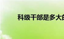 科级干部是多大的官（科级干部）
