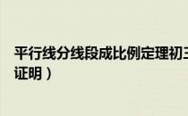 平行线分线段成比例定理初三（平行线分线段成比例定理的证明）