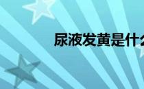 尿液发黄是什么原因（尿液）