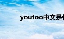 youtoo中文是什么（youtoo）