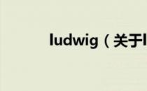 ludwig（关于ludwig的介绍）