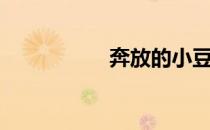 奔放的小豆豆（奔放）