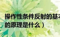 操作性条件反射的基本规律（操作性条件反射的原理是什么）