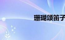 珊瑚颂笛子音乐（珊）