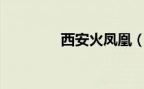 西安火凤凰（西安火凤凰）