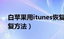 白苹果用itunes恢复不了（白苹果itunes恢复方法）