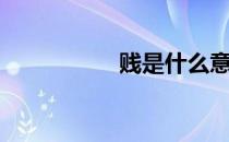 贱是什么意思（贱民）