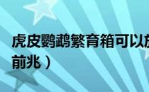 虎皮鹦鹉繁育箱可以放里面吗（虎皮鹦鹉繁殖前兆）
