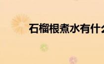 石榴根煮水有什么功效（石榴根）