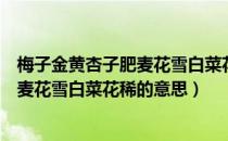 梅子金黄杏子肥麦花雪白菜花稀什么意思（梅子金黄杏子肥麦花雪白菜花稀的意思）