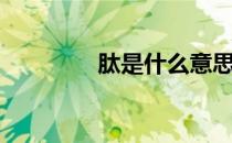肽是什么意思（肽是什么）