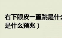 右下眼皮一直跳是什么意思（右下眼皮一直跳是什么预兆）