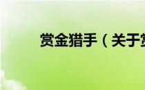 赏金猎手（关于赏金猎手的介绍）