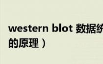 western blot 数据统计分析（western blot的原理）
