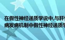 在假性神经递质学说中,与肝性脑病发病有关的（简述肝性脑病发病机制中假性神经递质学说）