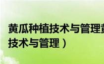 黄瓜种植技术与管理黄瓜怎样施肥（黄瓜种植技术与管理）